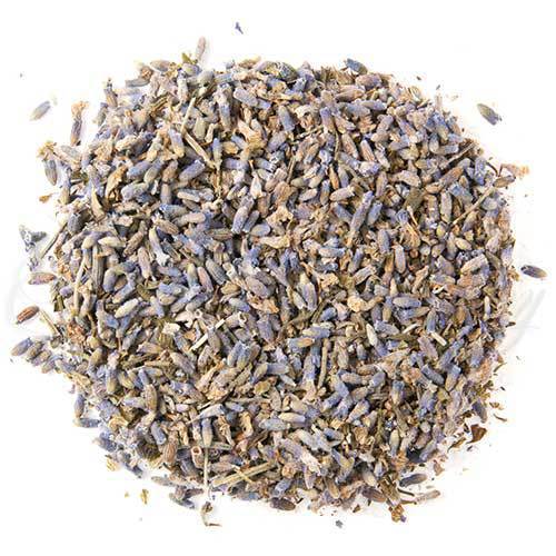 Organic Tibetan Lavender
